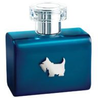 ferrioni-fragancia-azul-terrier-para-caballero-100-ml